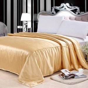 Couette <br> Dynastia (Soie de mûrier)